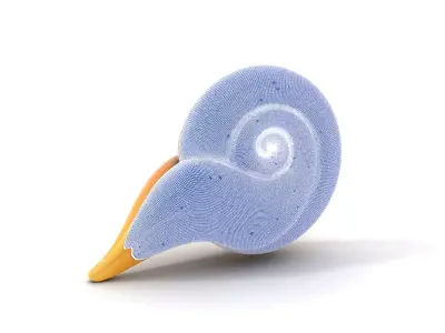 Glossy Spiral Shell model pack Low-poly 3D model