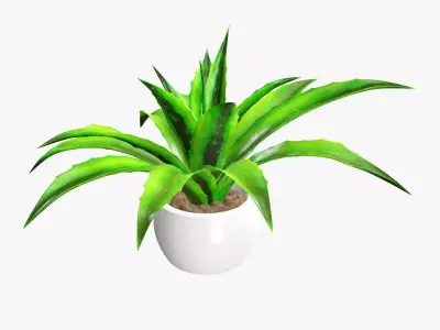 Potted plant decorative 04 3D model