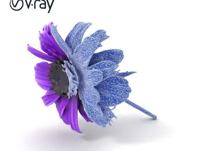 Purple Cornflower Realistic Botanical Model Pack Low-poly 3D model