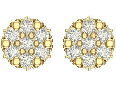 Earring 3D print model order
