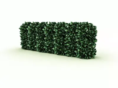 Garden Material 3D model