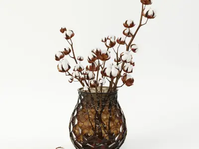 Cotton in a vase 3D model