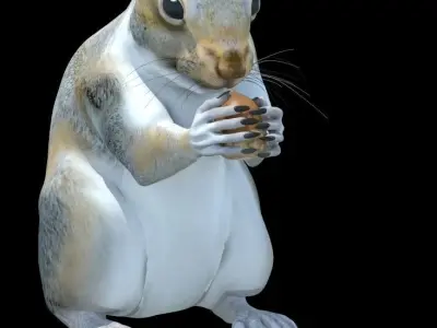 Grey Squirrel 3D model