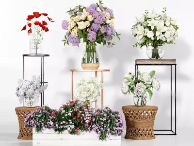 Flower plant set 07 3D model