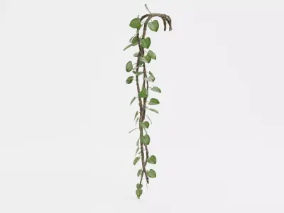 -Liana Plant V1- 3D model