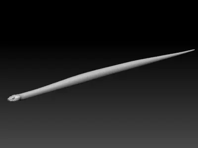 Asp Zbrush Model 3D model