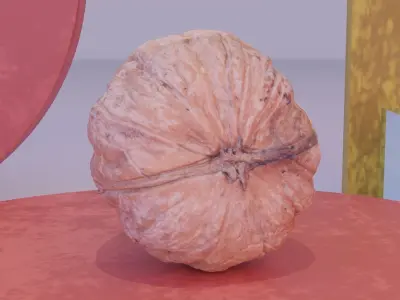 Walnut fruit 04 high-poly 3D model