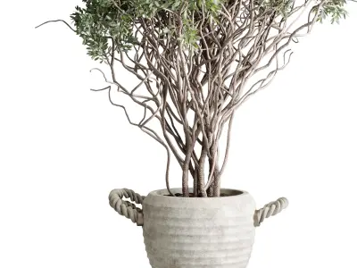 Indoor Plant Set 499 - Tree in old concrete pot 3D model