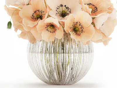 Beautiful Bouquet White Beige Wild Flowers Poppy 570 3D model