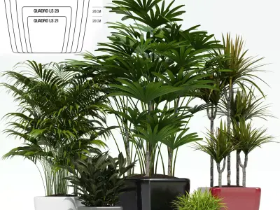 Lechuza QUADRO LS 3D model