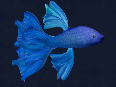 3D Fish Model  Cartoon Sea Creatures  3D model