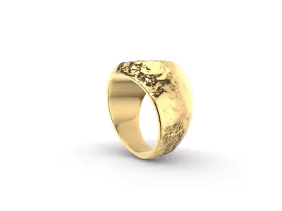 Rock Textured Ring Model 3D print model