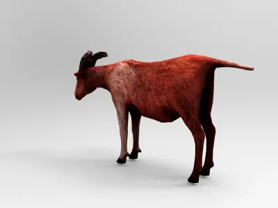 3D Red Goat low poly Model  Low-poly 3D model