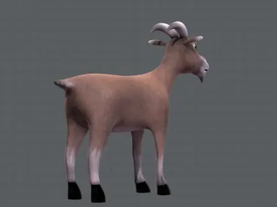 Goat V01 Low-poly 3D model