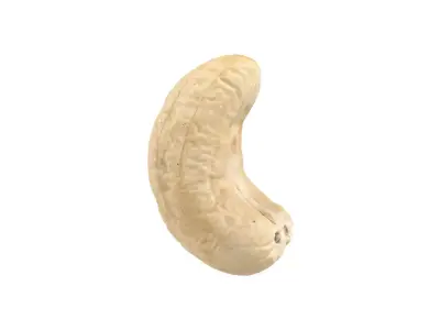 Photorealistic Cashew Nut 3D Scan 3D model
