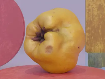 Quince fruit 03 high-poly 3D model