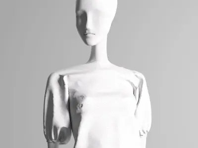 Zara Plumeti Embroided Top Manneqin 3D model