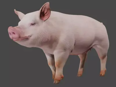 pig in pink 3D model
