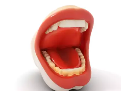 Open Mouth Expression model pack Low-poly 3D model