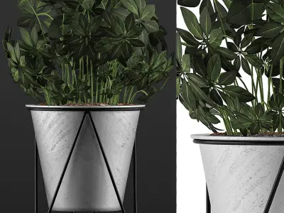 Plants Collection 92 3D model