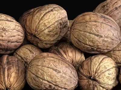 Walnut set walnuts in bowl 3D model