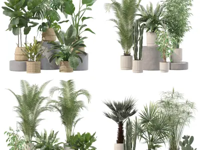 20 Photorealistic Flowers for Interiors - set 205 209 213 218 3D Model Collection