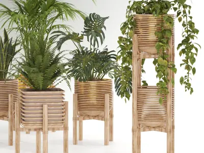 Plant-Collection-01 three wooden planters Free 3D model