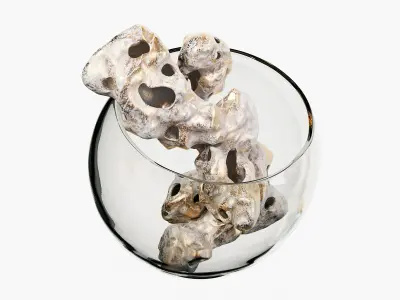 Sculptures of coral reef 02 3D model