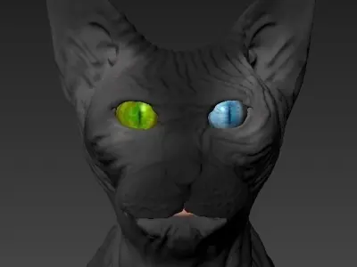 Cat Sphynx   3D model