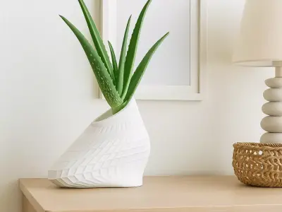 Modern Geometric Flower Pot 3D print model