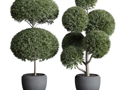 Topiary plant in an old concrete pot 3D model