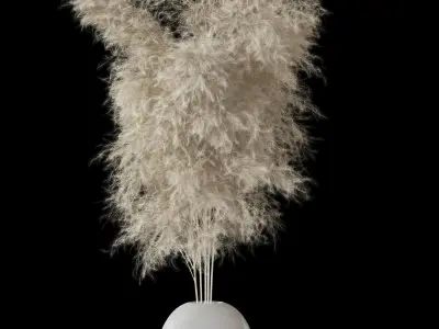 Decorative Pampas 3D model