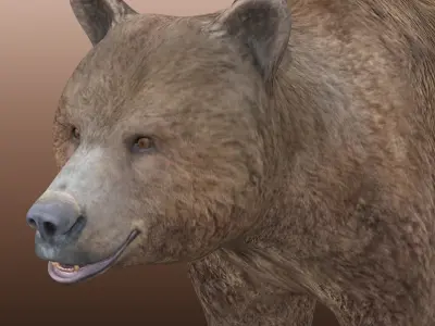 Grizzly Bear  Low-poly 3D model