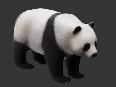 panda Low-poly 3D model