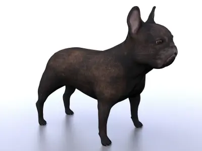 French Bulldog 3D model