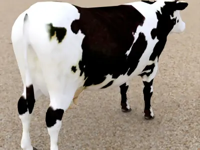 cow 3d 3D model