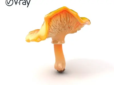 Vibrant Chanterelle Mushroom Classic Model Pack Low-poly 3D model