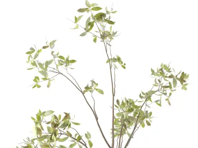 Plants Bouquet 04 3D model