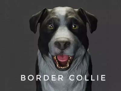 DOG - BORDER COLLIE  Low-poly 3D model