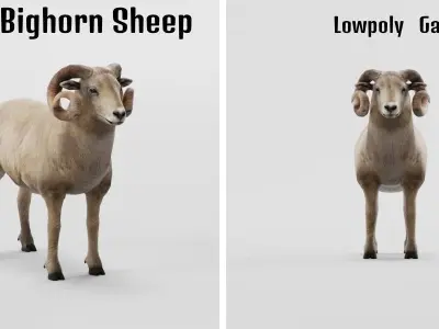 Desert Bighorn Sheep Low-poly 3D model