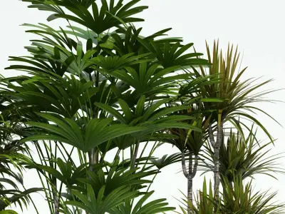 Lechuza QUADRO LS 3D model