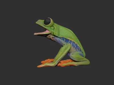 Red Tree Frog Sculpt  Low-poly 3D model