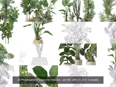 20 Photorealistic Flowers for Interiors - set 202 209 211 213 3D Model Collection