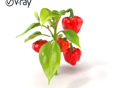 Red Pepper Plant Vegetable D Model Pack Low-poly 3D model