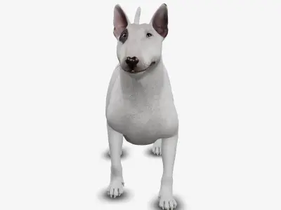 dog bull terrier Low-poly 3D model