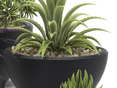 plants set 2 group of pots 3D model