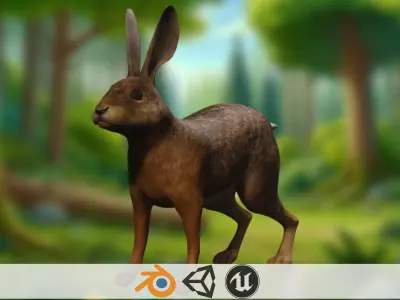 Bouncy Bunny 3D Rabbit Model Realistic  hare toon Low-poly 3D model