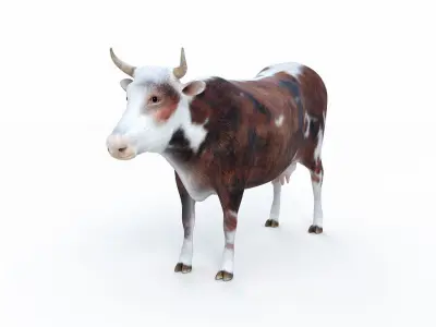 Cow kine Low-poly 3D model