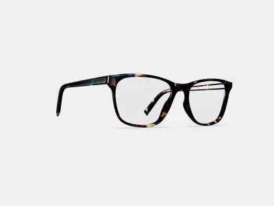 Yardley Eyeglasses in Blue Marbled Tortoise 3D model purchase