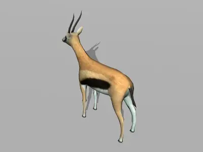 gazelle Low-poly 3D model